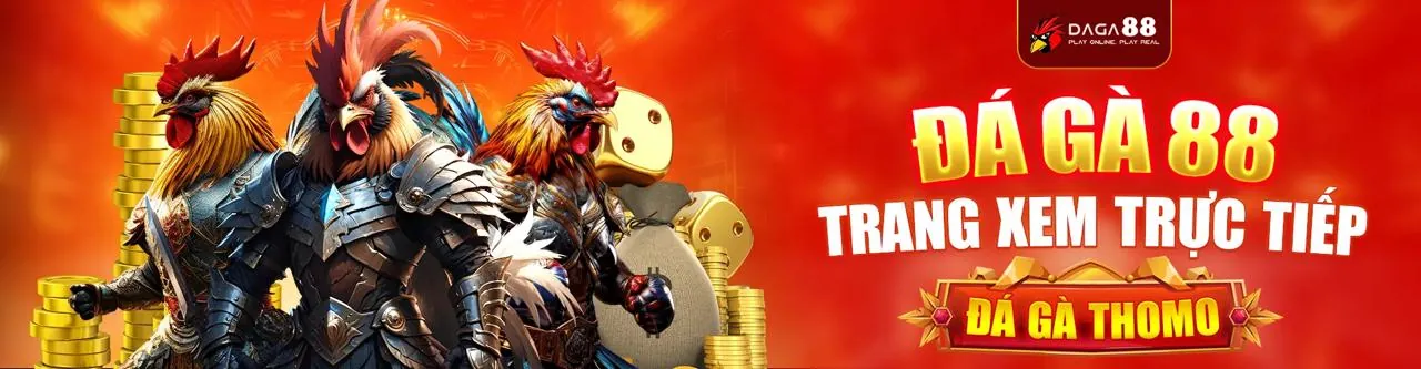 Giao diện ứng dụng dbet12 trên điện thoại